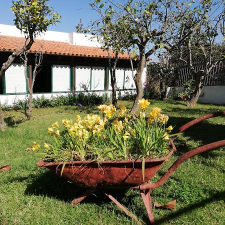 Casa Rural Limon Y Sol Sauzal Zewnętrze zdjęcie