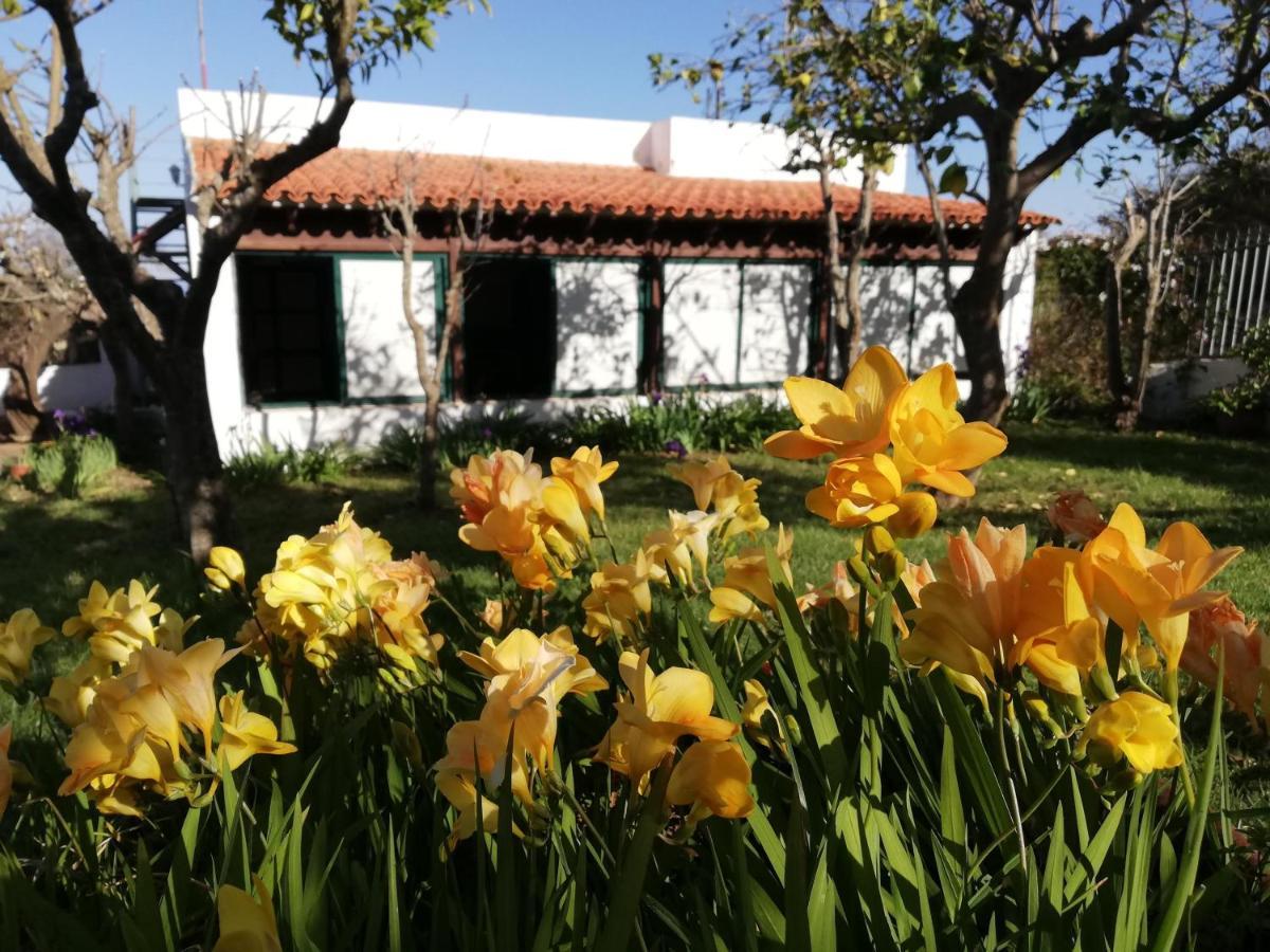 Casa Rural Limon Y Sol Sauzal Zewnętrze zdjęcie