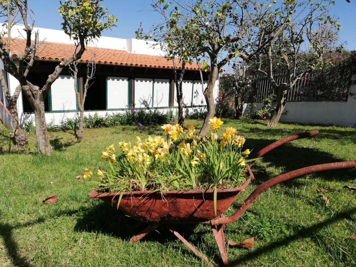 Casa Rural Limon Y Sol Sauzal Zewnętrze zdjęcie