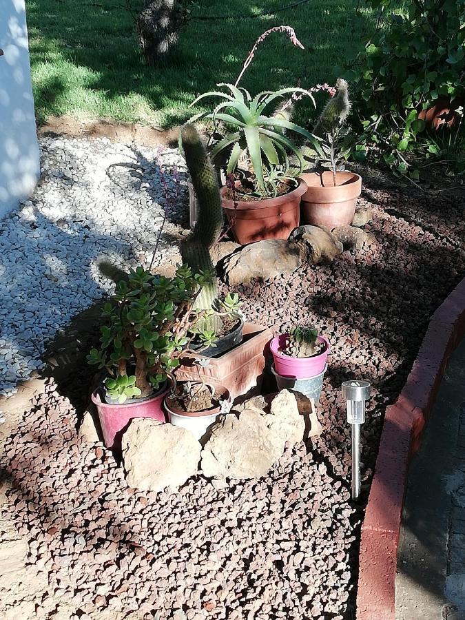 Casa Rural Limon Y Sol Sauzal Zewnętrze zdjęcie