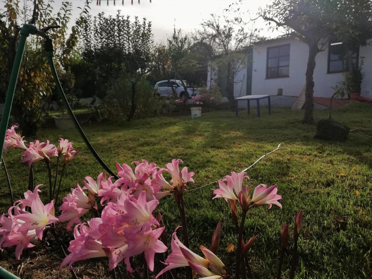 Casa Rural Limon Y Sol Sauzal Zewnętrze zdjęcie