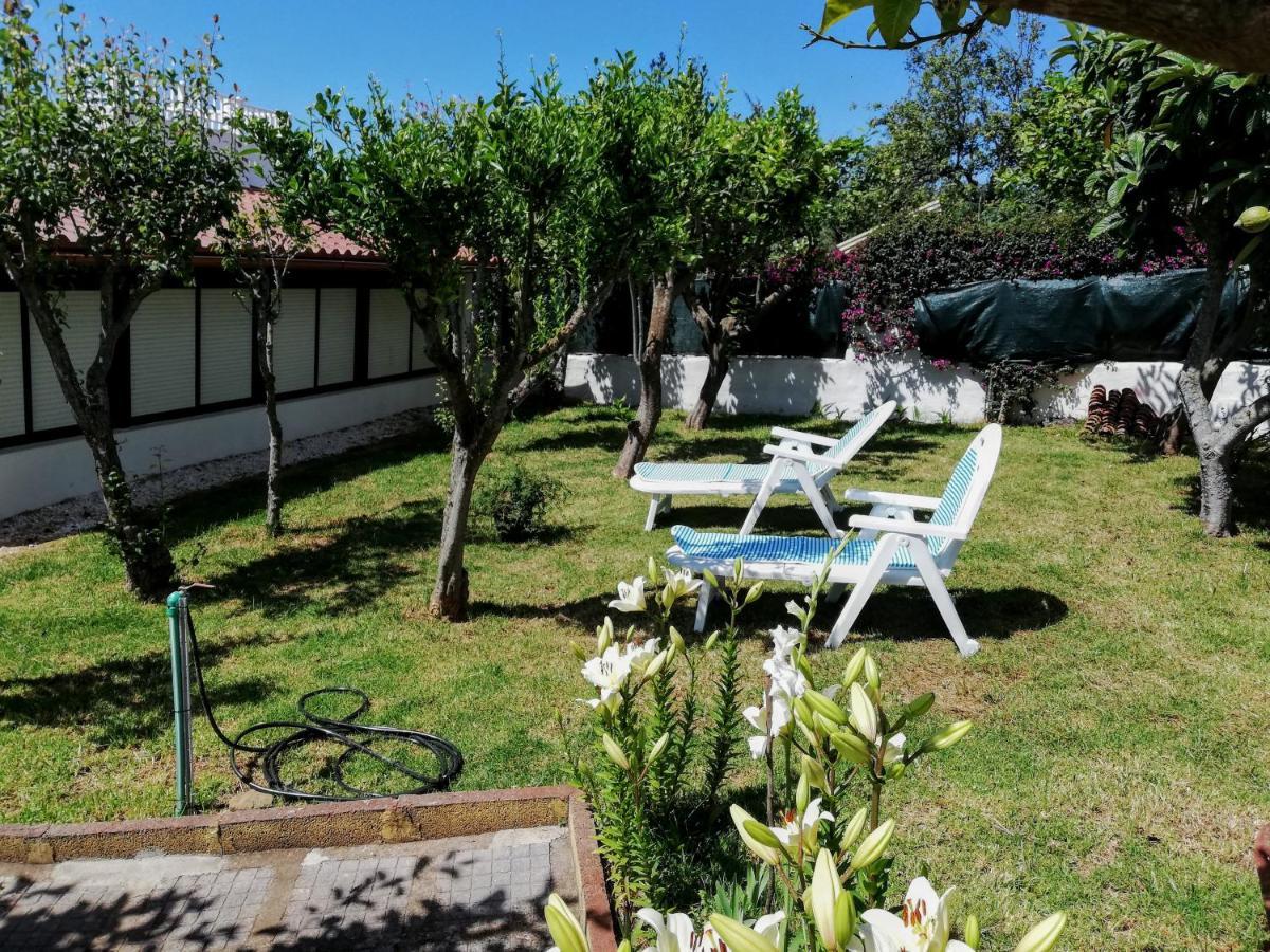 Casa Rural Limon Y Sol Sauzal Zewnętrze zdjęcie