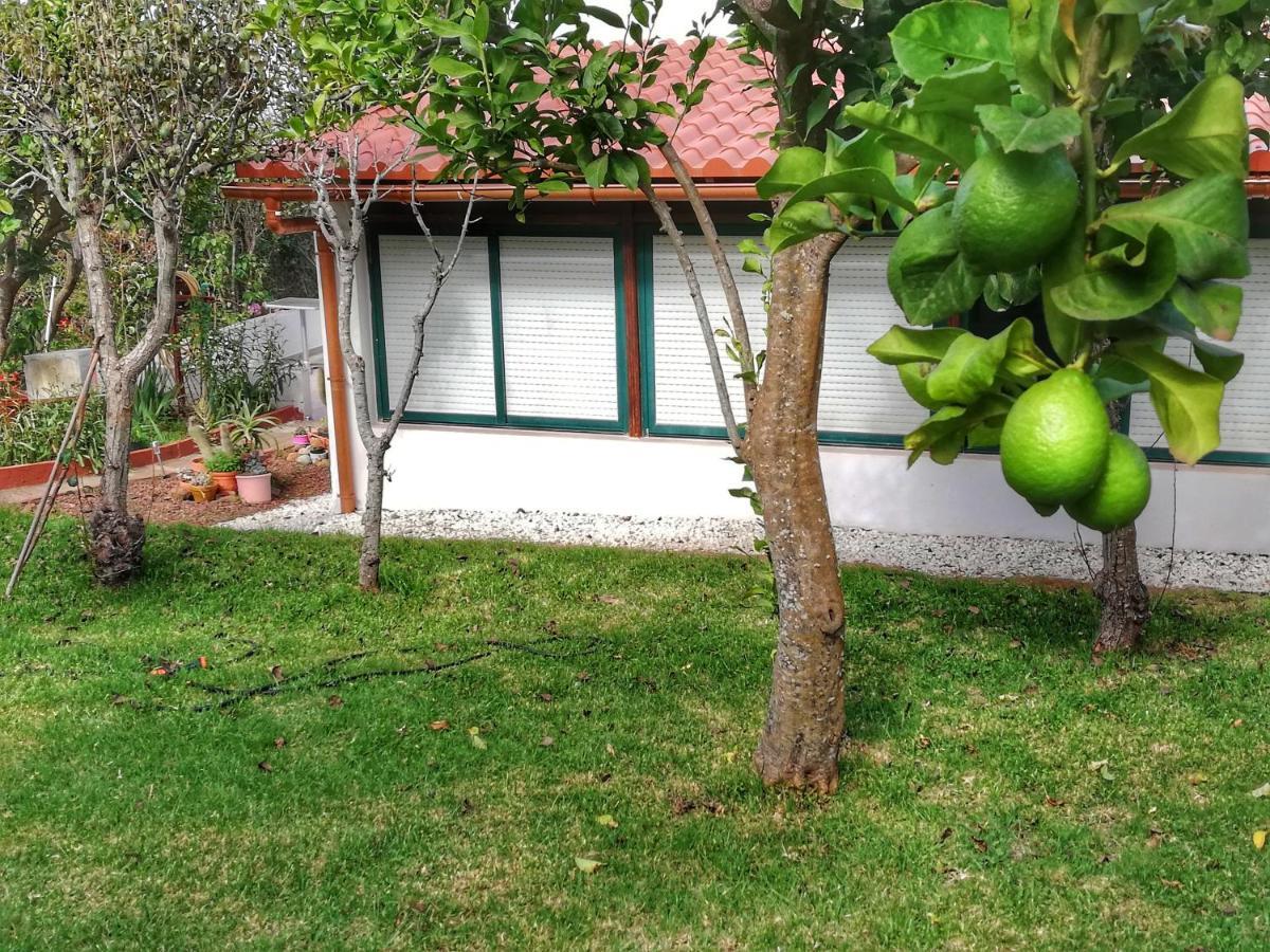 Casa Rural Limon Y Sol Sauzal Zewnętrze zdjęcie